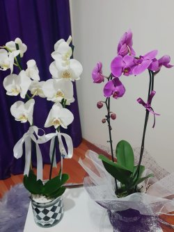 IMG-20191110-WA0016.jpg
